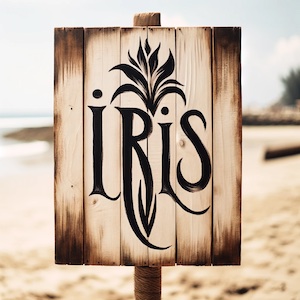 ” Iris ” By The Goo Goo Dolls – Ukulele Playalong With Chords And Lyrics